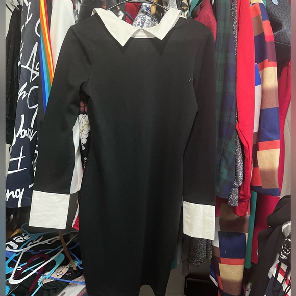 VENUS Dresses & Skirts - Cute black and white collar dress 👗